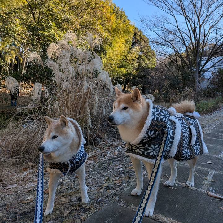 0ac19234 a86c 41f7 a0c8 603a59d612e9 1767930745453