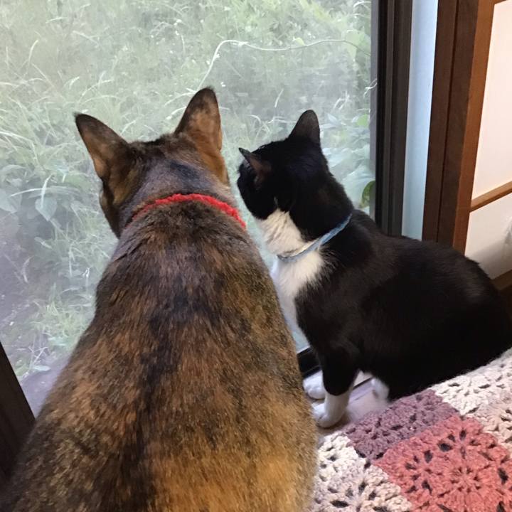 0ac1bccc f44b 4e6c a00a b1c605371b39 1684324381449