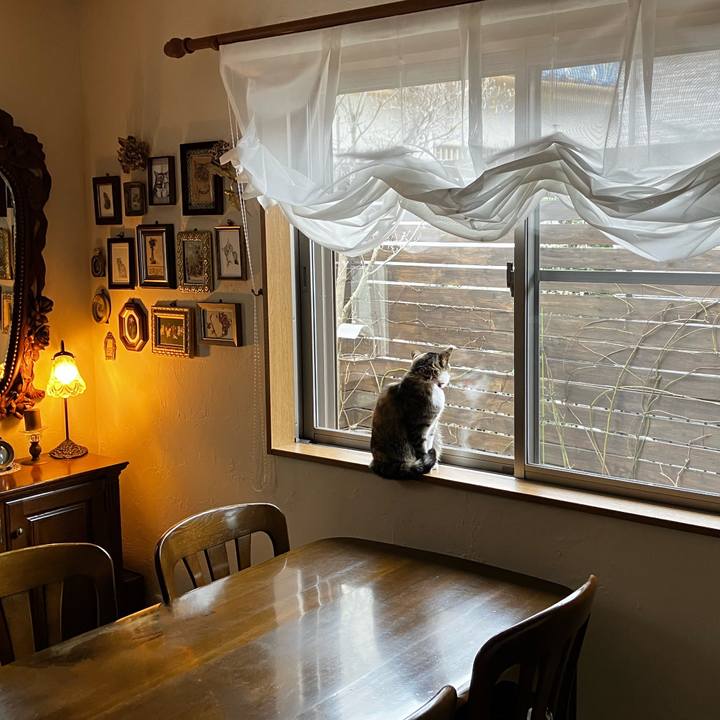 0ac1c81e 701f 4e6b 9708 0cb71048282a 1771546478981