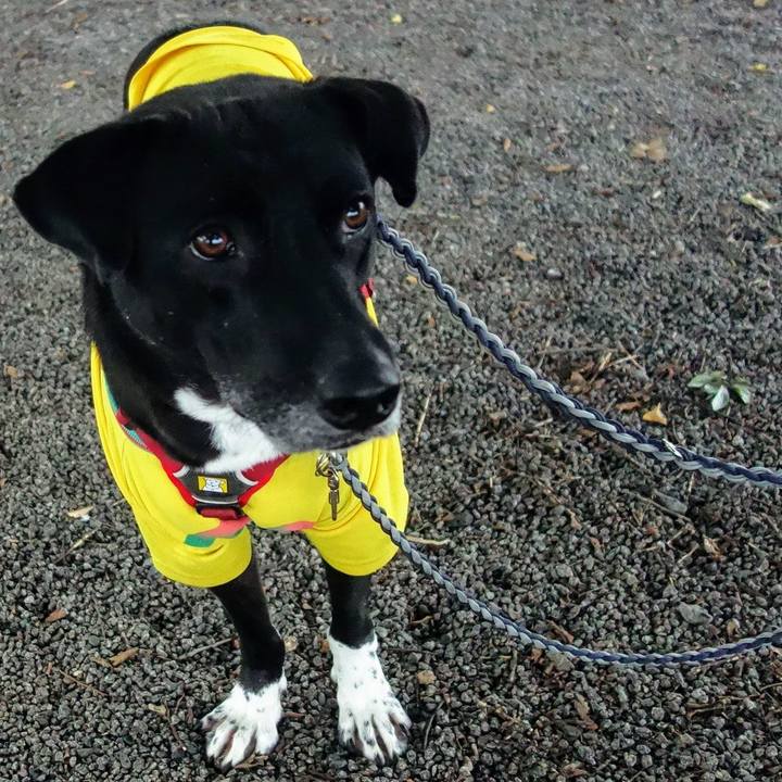 0ac1d846 de6c 4336 a6a1 9fb9d0ea8799 1634860418956