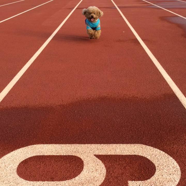 0ac224cf dd79 45d3 9213 01b4967fd59c 1627885112455