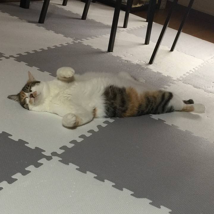 0ac2398a 6ebf 45b5 b570 4d961981e285 1661641460546