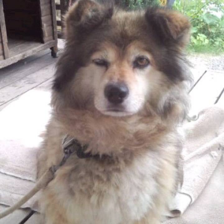 0ac25912 e715 470a b75b e47b1426a768 1637280765811