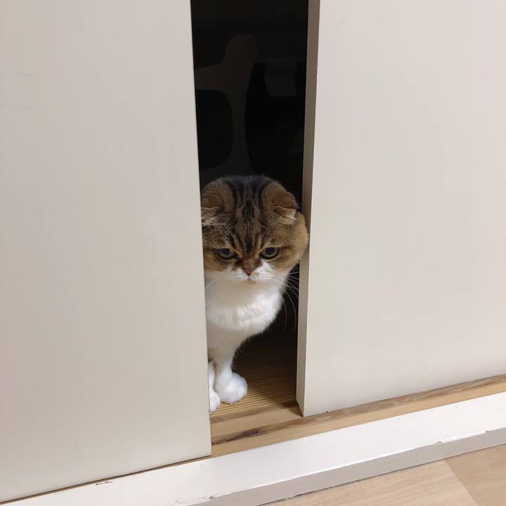 0ac2738c 2a3f 4b82 bb2e d05060d68178 1550238967254