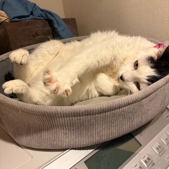 0ac289cd 44bd 4ce5 9ef7 54355da4582e 1772580987954