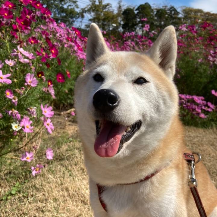 0ac291f5 2cc8 453f a61d c507e192e73f 1636293653758