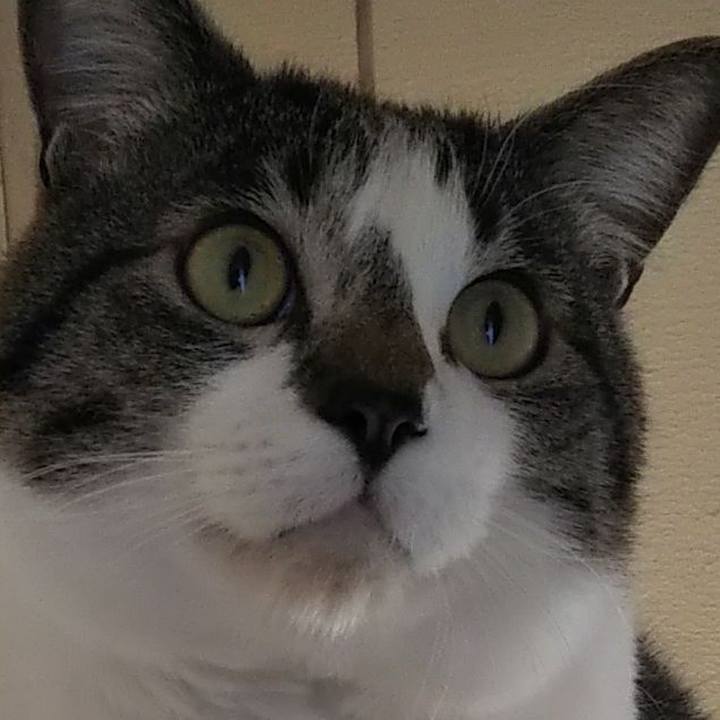 0ac2a5a8 c832 4e0b a81f 2021ed86063f 1609691351074