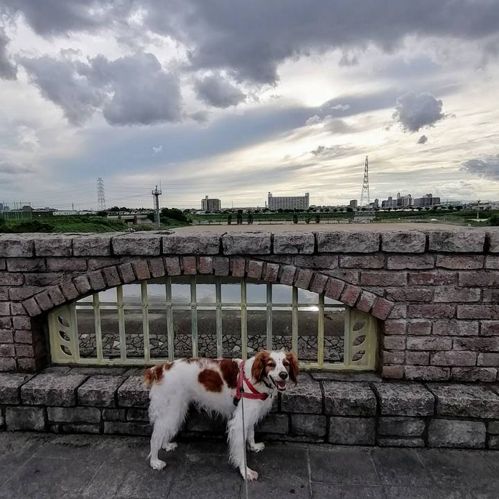 0ac2f252 e357 48eb 9890 c66218b8ba3c 1629018142100