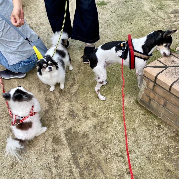 0ac33474 57b8 4d07 8b86 812cf2d6da74 1631963783927