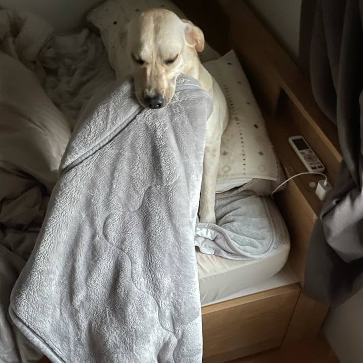 0ac35453 e754 4e96 a5d6 3bb1396f4167 1635203862513