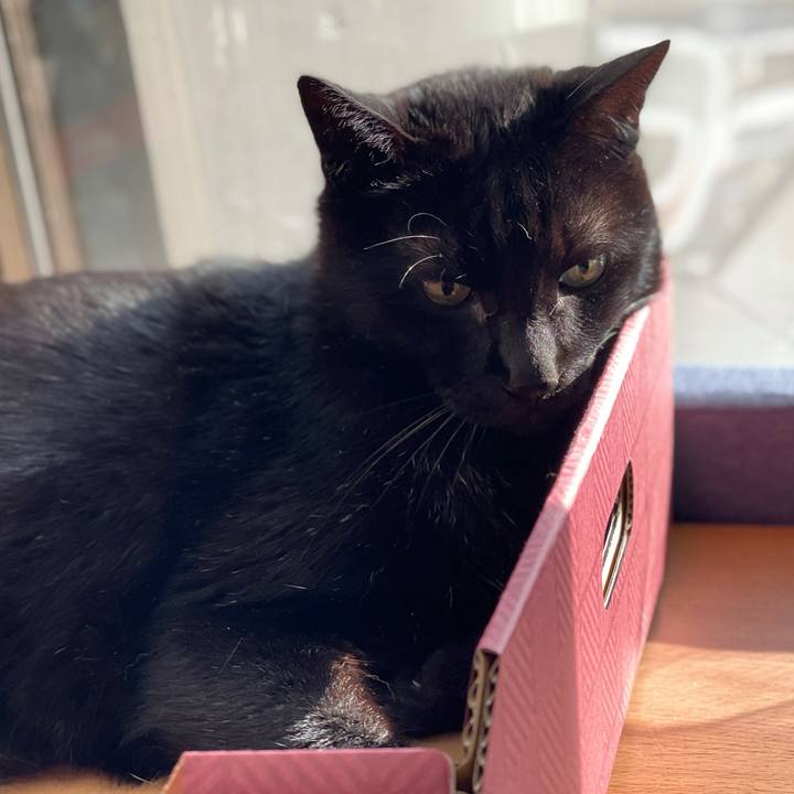 0ac35ab7 5bc2 4041 b2f2 dc758e8cb0ee 1613440195748