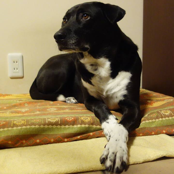 0ac38731 a3bf 44fc 81ac 8ffe147897ef 1669461698946