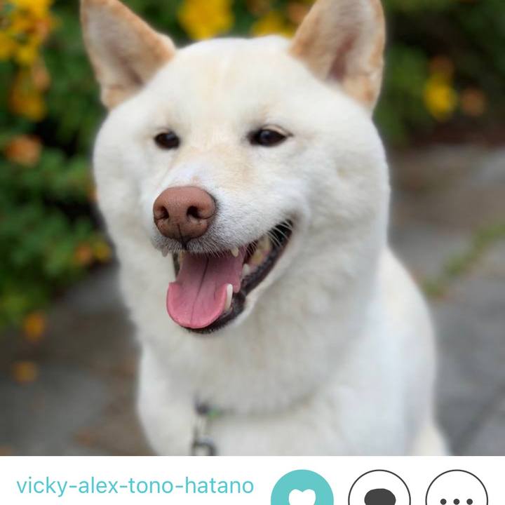 0ac38a10 6eca 4a5f 9076 42540f7d83d7 1654762719769