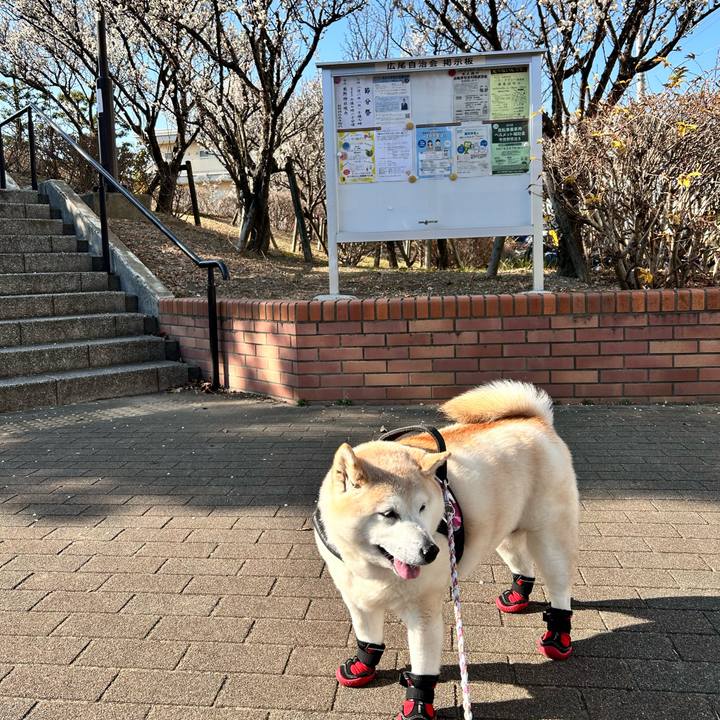 0ac38d6b 5417 48af 858d fd453e6b337b 1738043768276