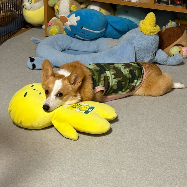 0ac3b5de 3a70 4b87 b63e e4c271e76d86 1771083686506