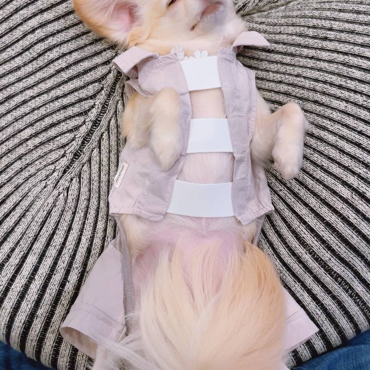 0ac3b61f 23e5 4537 84b2 39f61da066e6 1688988089638