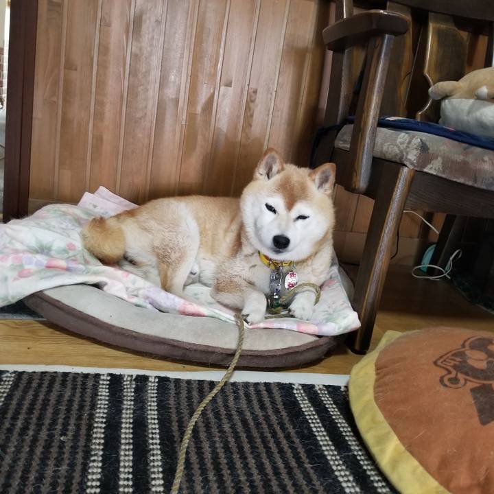 0ac409f4 be33 4b09 8e88 dacdf97a113e 1688352263469