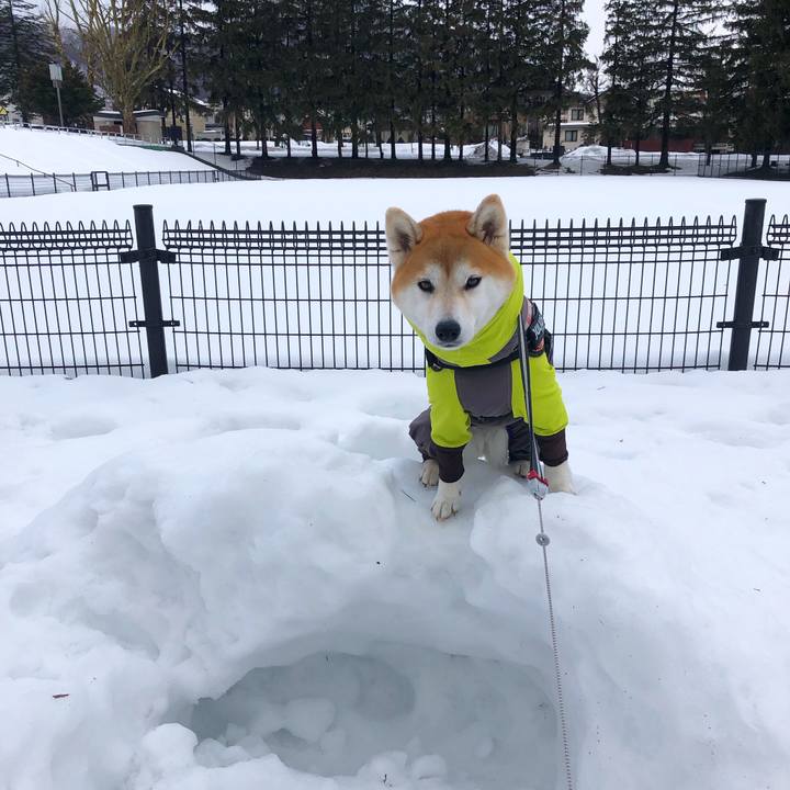 0ac41ef6 e7cc 499f a708 1bcf7920da68 1584412568877