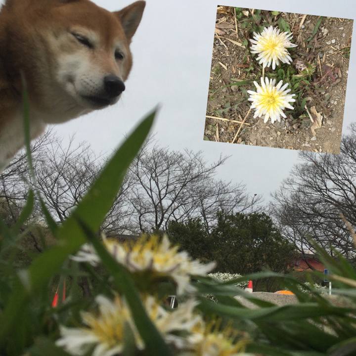 0ac43c46 84c5 4ee0 9416 e877699d4efb 1615539356244