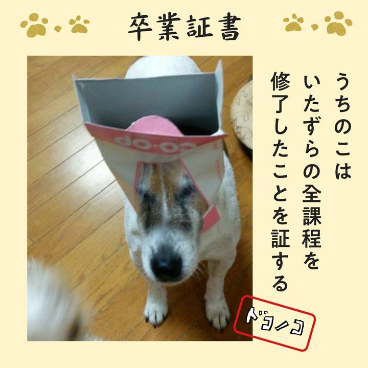 0ac44b39 a35f 41d9 9e22 bb294a4859d5 1771940162212