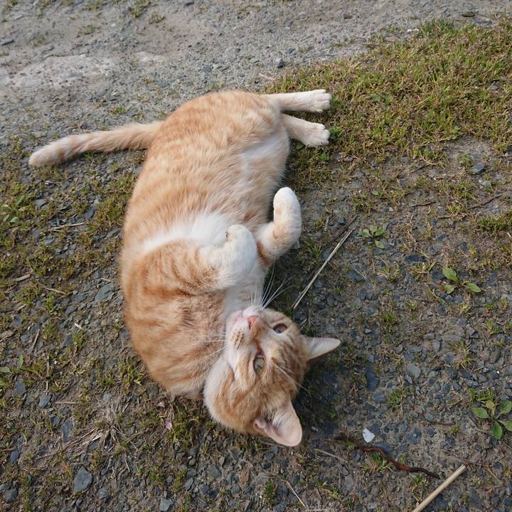 0ac45792 3284 4aed a822 8784190d2d29 1588288980414