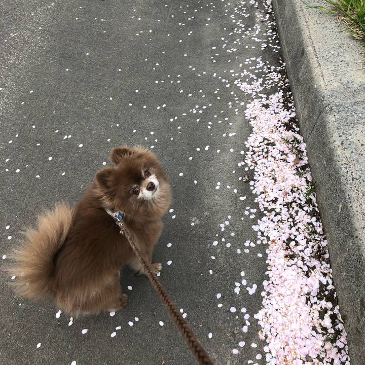 0ac47d4f f04e 4595 945e 35b0e5c8b0ae 1620197882109