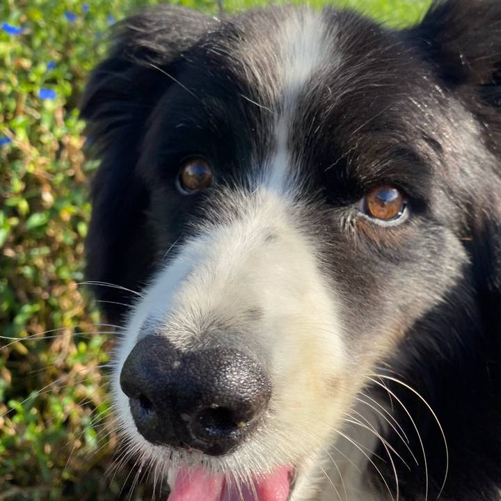 0ac483c3 60d5 414c 8643 dd5677dd7cee 1723893458146