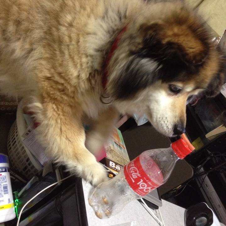 0ac48547 c252 4b08 ae91 e06659c13842 1551507071025