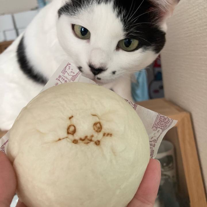 0ac48f93 725d 46ee 8b6c 65fe480025ad 1765851462707