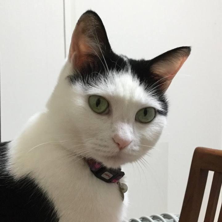 0ac4a49b 4f25 41b8 bda8 ac3bfebd045d 1522670123088