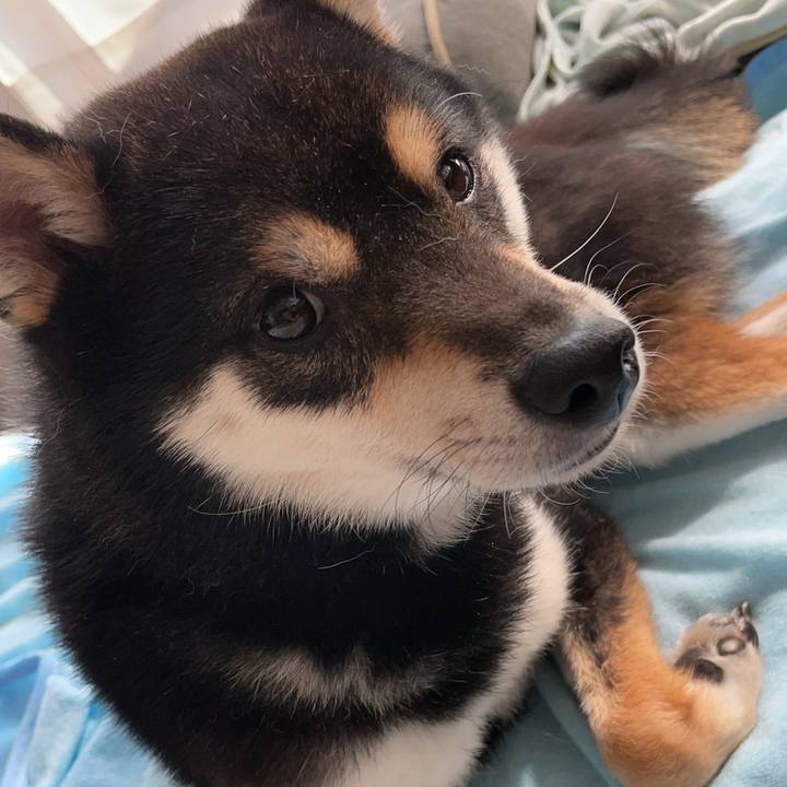 0ac54416 8d16 4746 949a 0a5a89b8f216 1651561680956