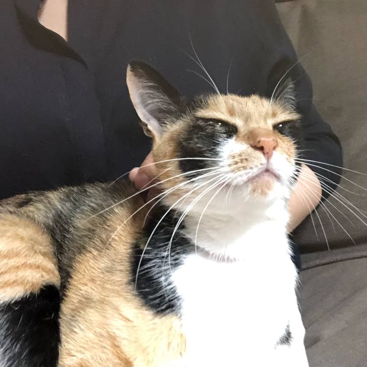 0ac573d9 88e5 49cb 93ee ccf568962c18 1558185360847