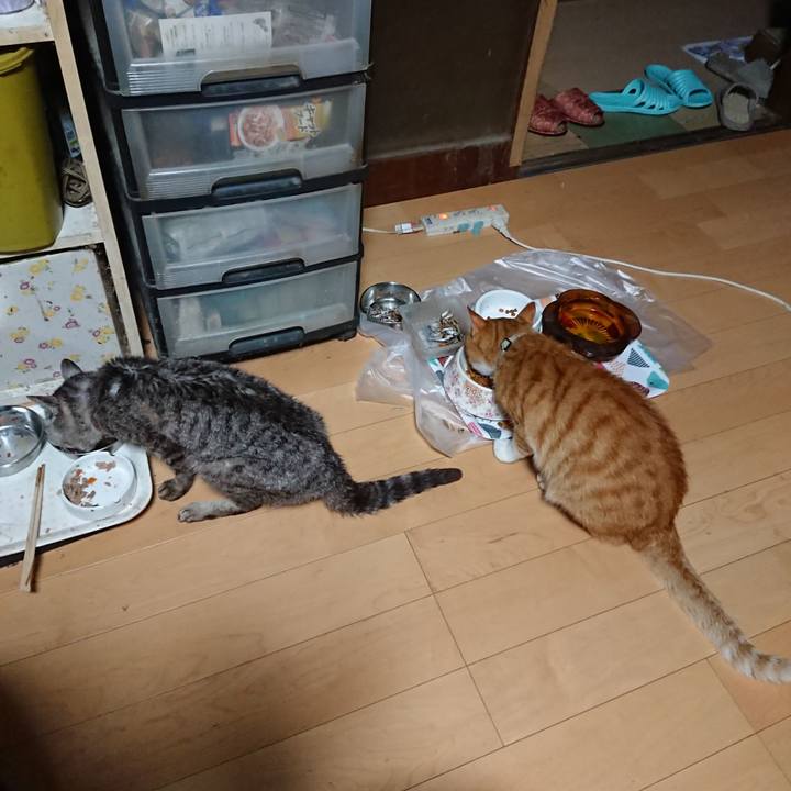 0ac588dd ff56 41a4 a344 36e79ad9fd8b 1597176409313