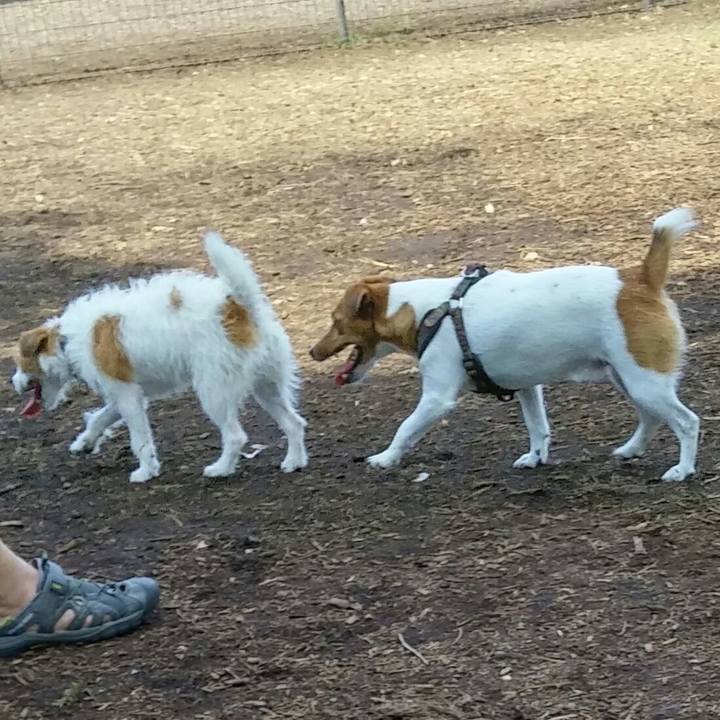 0ac5b31e fc35 49dd 8b58 56a7e304a6ed 1537163144956