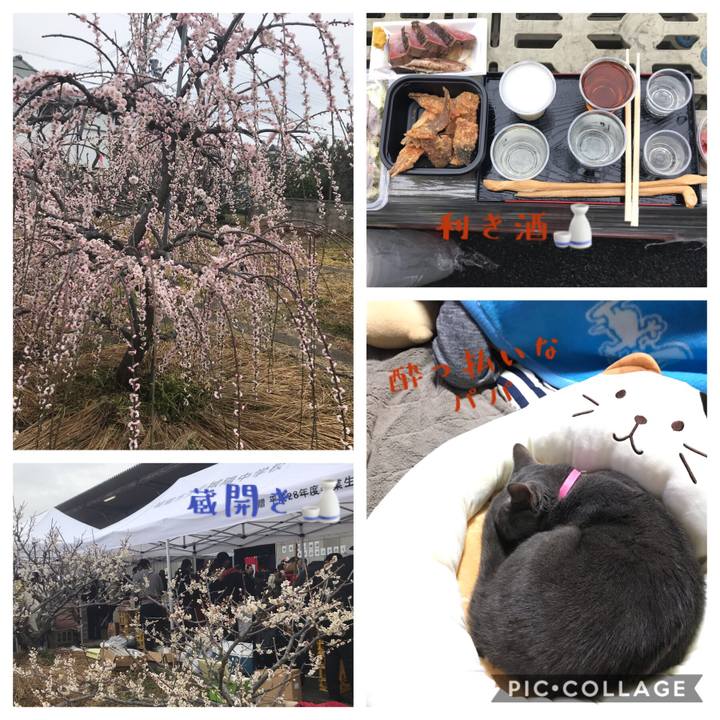 0ac5cfab f704 486b 914a e3e52d260b03 1552207595471