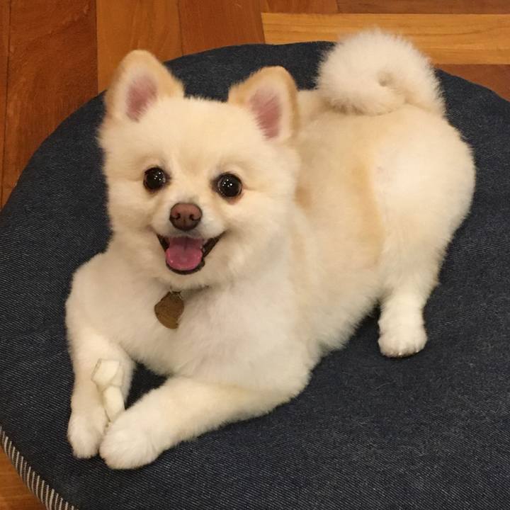 0ac5e2ae 7ad6 4ce7 bb2a 38cb8cd543e5 1597577399451