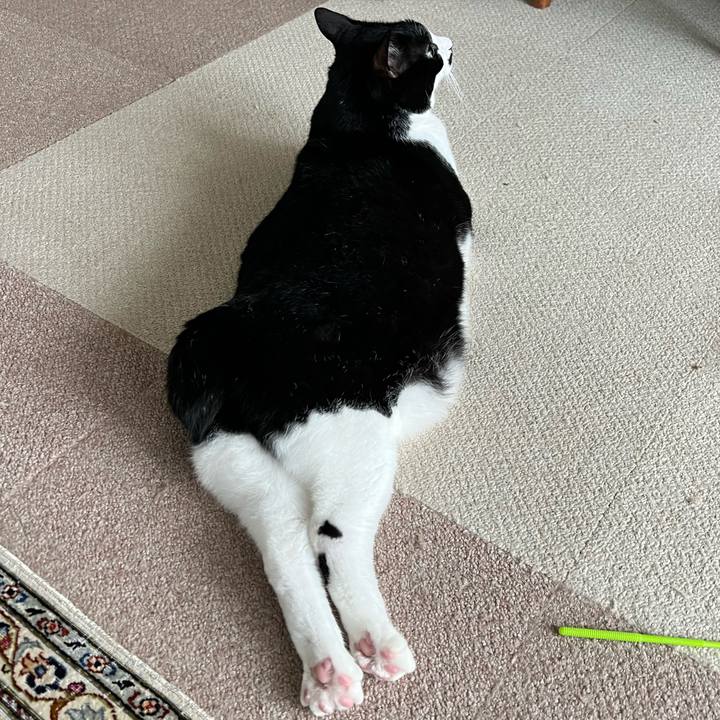 0ac61681 ff9b 4094 851e c88f1f1b760f 1760567575789