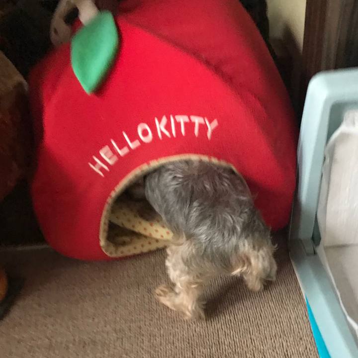 0ac633d7 e654 4125 9d70 64b86a784a07 1628157083006