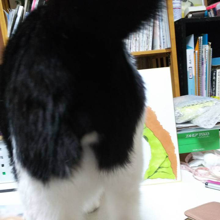 0ac63e72 45a8 45ee 9809 4970ed3acbad 1526203645712