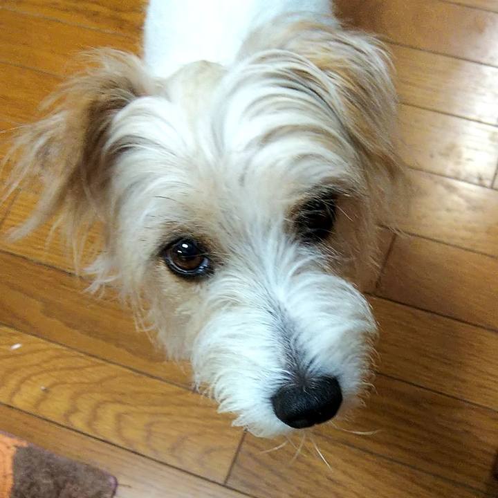 0ac643c6 f5d7 4e80 87b9 f66ce665170d 1566425862857