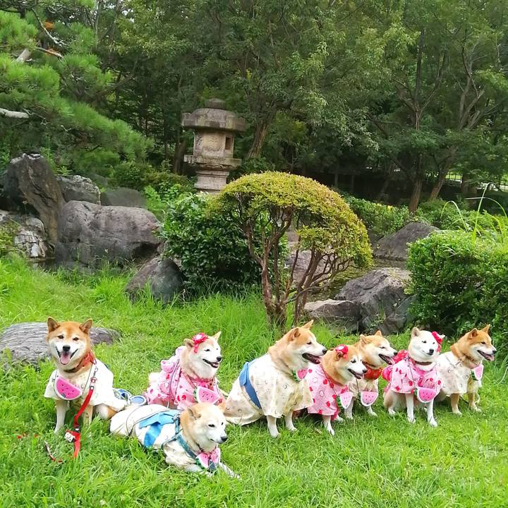 0ac66171 5a47 4ee5 b2be 6d8a6a7c0bf2 1661184175752