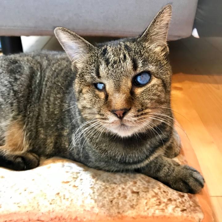 0ac6b3a3 a4c8 433d 8f92 1819ec3452fe 1567162253694