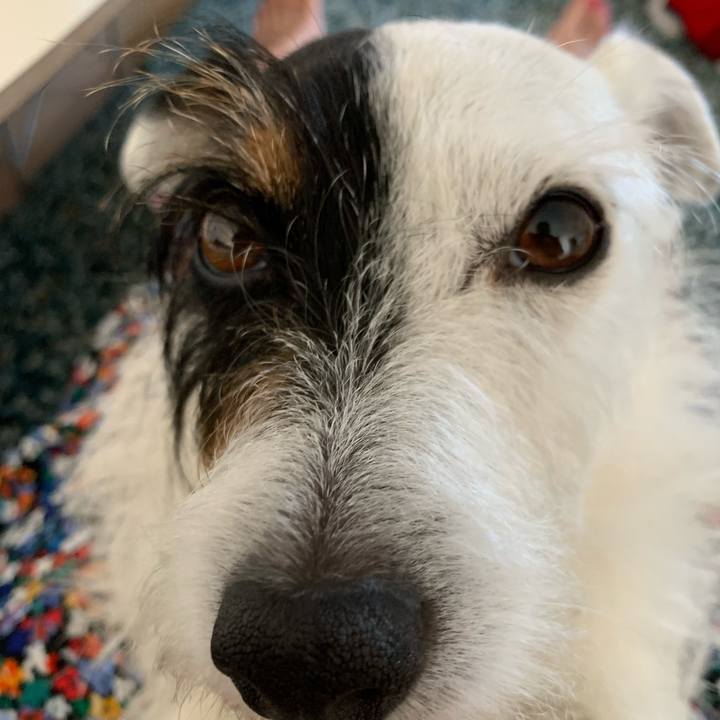 0ac6cdf4 0900 4e6c 8c3a 054bd0e74b48 1626593079002