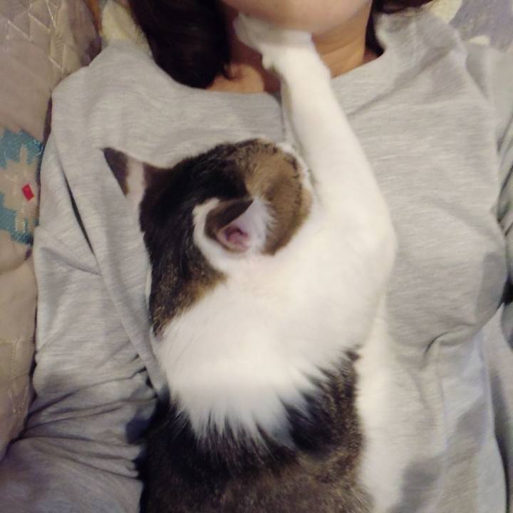 0ac6f2ec 7d5b 4fff addb 5a3e6ab84ea9 1606567982506