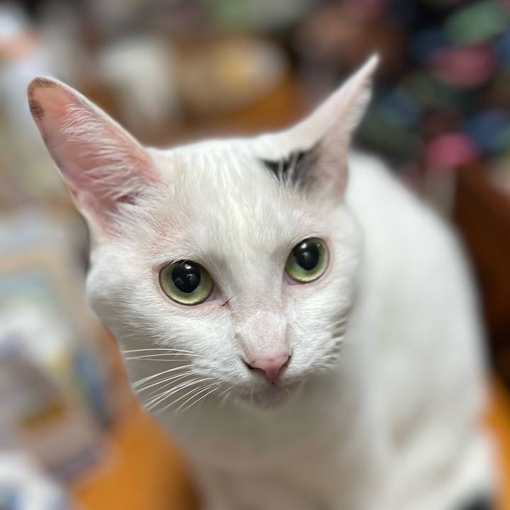 0ac6f586 b853 43c0 9fea 15e7d92dc199 1754261838397