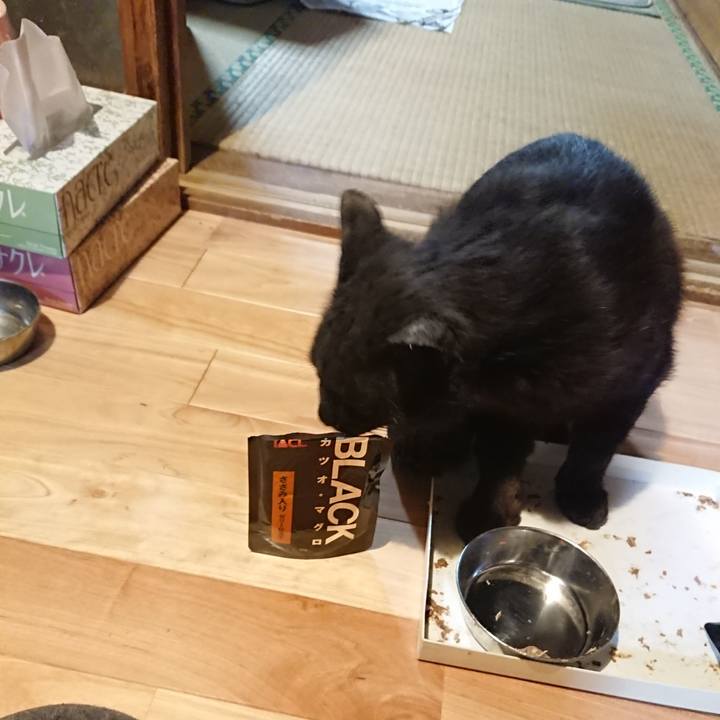 0ac73839 af23 4886 a608 7c3618d7becf 1622727822034