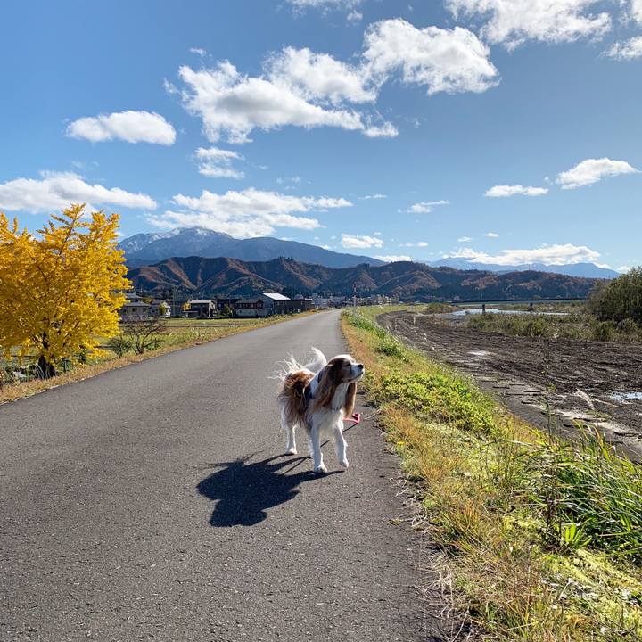 0ac74882 5014 41e7 be9a ed5a486cf642 1573794169821