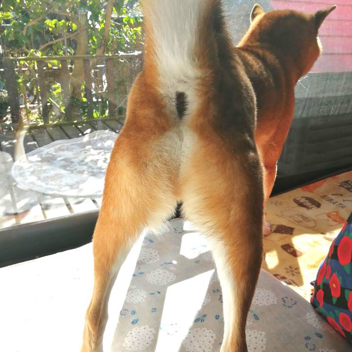 0ac76e3a 9e00 404a bc9d 2a9ce4a5ee6a 1582002189735