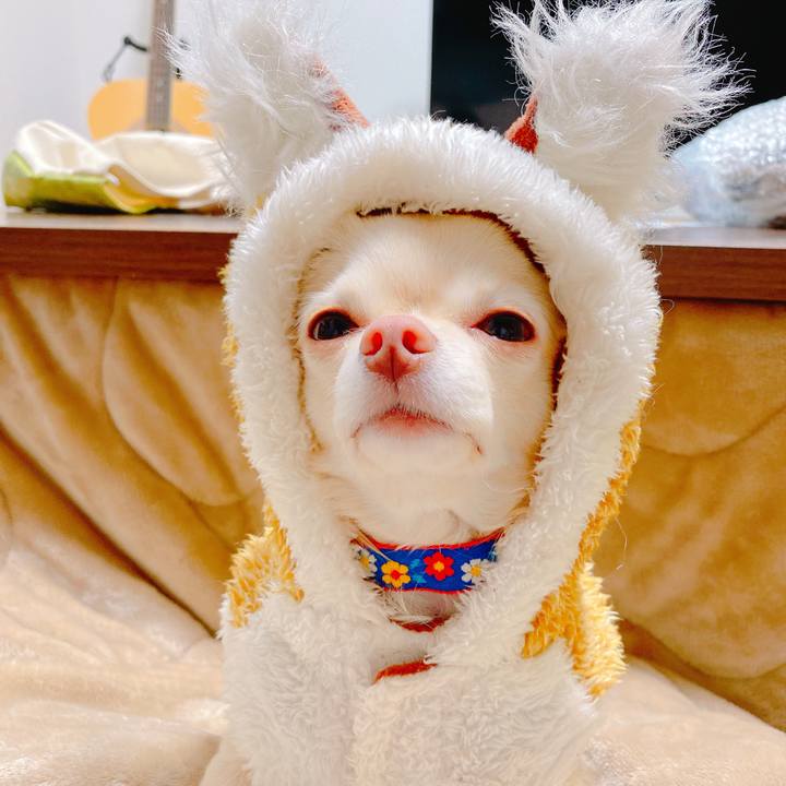 0ac78434 a2a3 4172 8333 c292aa9782ac 1638189243506