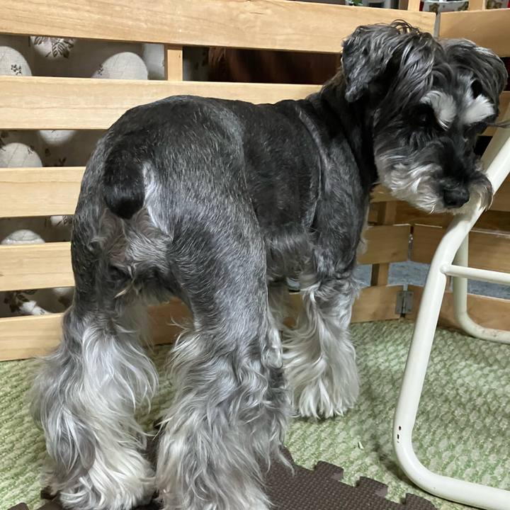 0ac78a93 de8c 4c5d 95c1 79d12d722a73 1742994280761